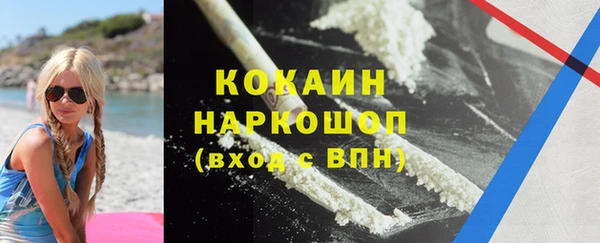 стафф Аркадак
