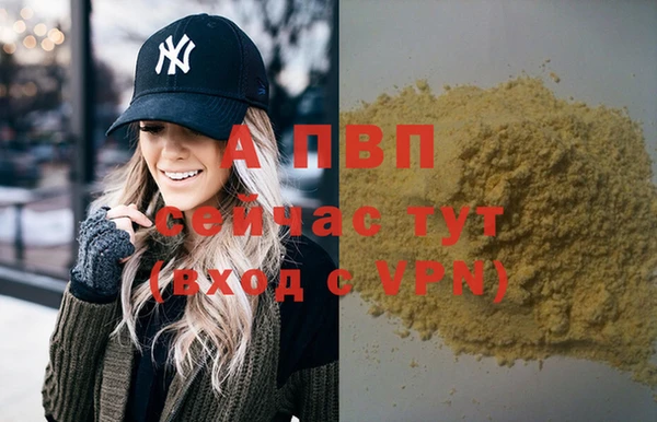 стафф Аркадак