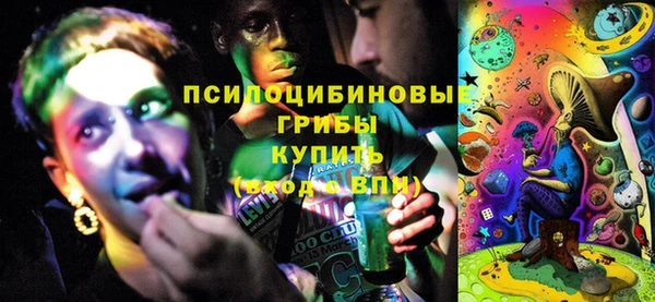 ПСИЛОЦИБИНОВЫЕ ГРИБЫ Арсеньев