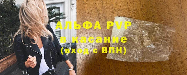 хмурый Алексин